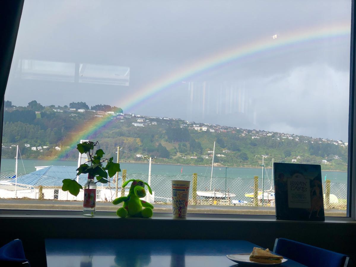Harbourview Stadium Hotel 더니든 외부 사진
